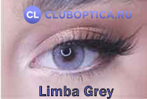 MEDEO Limba Grey